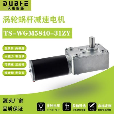 5840-31ZY渦輪蝸桿直流減速電機(jī)12v24調(diào)速自鎖齒輪大 扭矩雙軸馬達(dá)