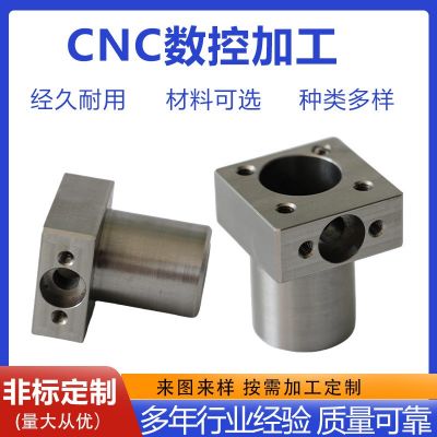 車削加工 cnc車床加工非標(biāo)零件定制不銹鋼零件定制非標(biāo)蝸輪蝸桿