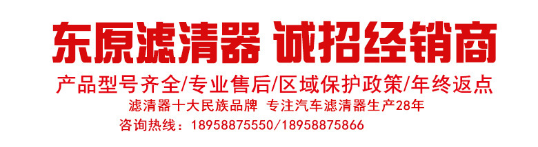 DIANZHAO
